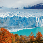 Miniatura de producto 7