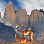 Miniatura de producto 1