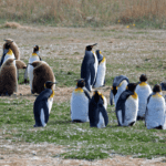 Miniatura de producto 5