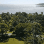 Miniatura de producto 5