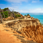 Miniatura de producto 6