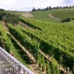 Miniatura de producto 2