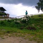 Miniatura de producto 5