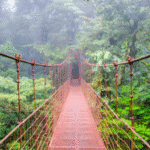 Miniatura de producto 10