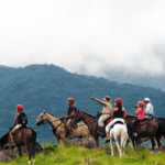 Miniatura de producto 6