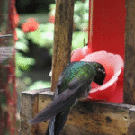 Miniatura de producto 5