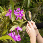 Miniatura de producto 4