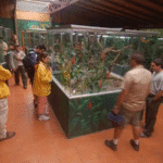 Miniatura de producto 2